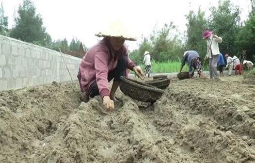 Vĩnh Thái: Đẩy mạnh hỗ trợ đào tạo nghề, tạo việc làm cho người lao động